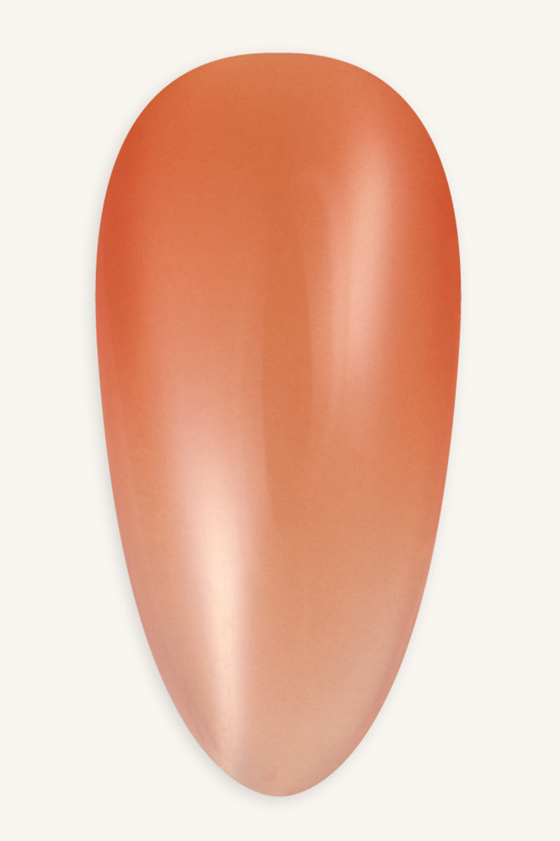 Tangerine  · 213