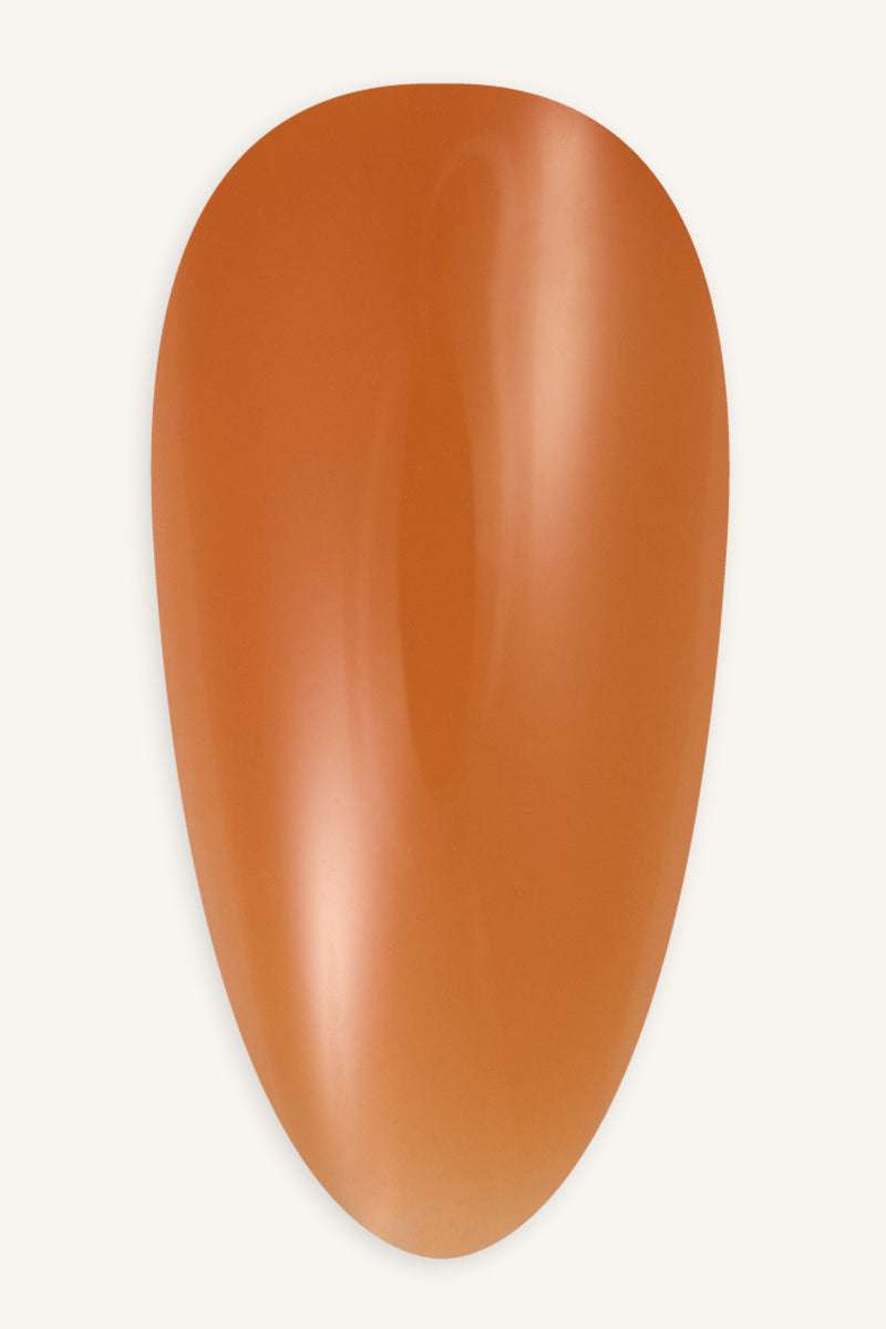 Amber  · 214