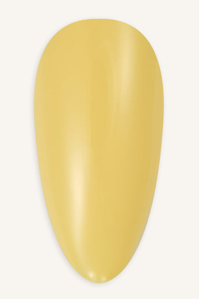 Summer Grass  · 241 - Tip