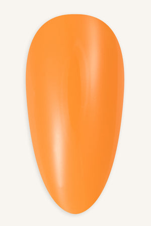 Morning Glow  · 377