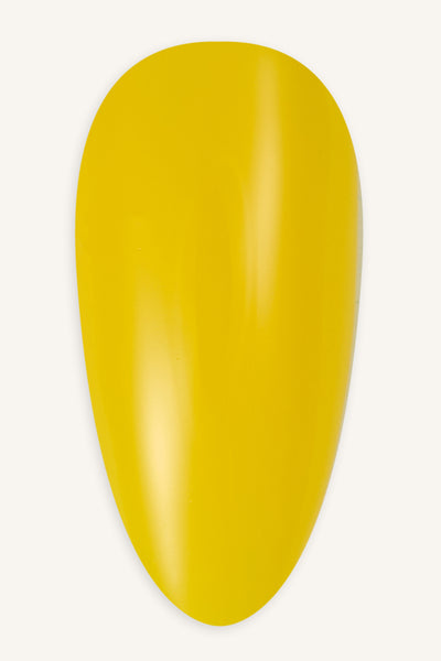 Bright Sunlight  · 379 - Tip