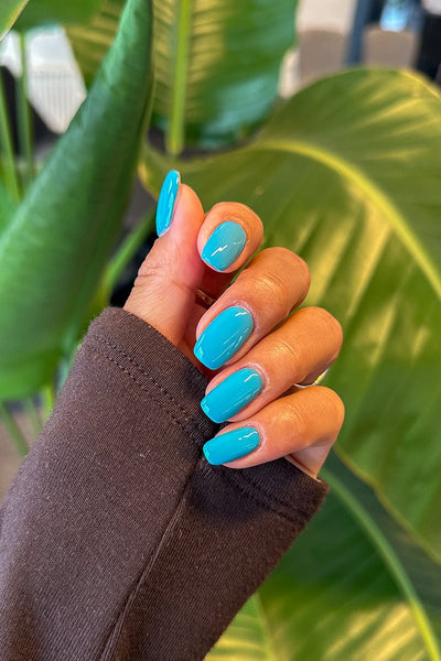 Bermuda · 533 | Nailster Denmark