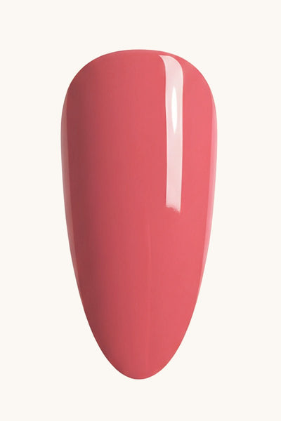 Pink Panther  · 16 - Tip