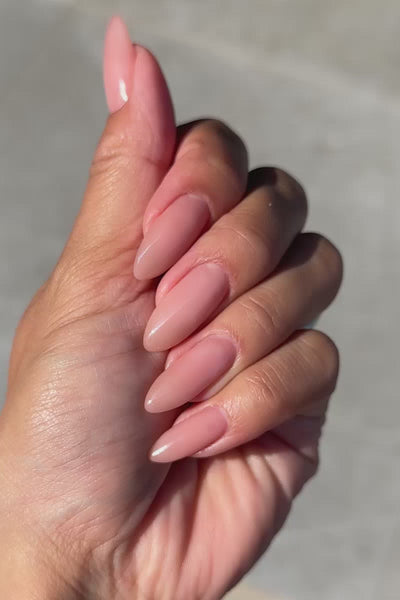 Toffee Rose · 476 - Hand